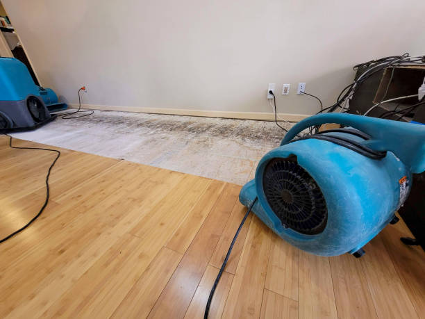 Professional Sewage Cleanup technician working in Bowling Green, MO